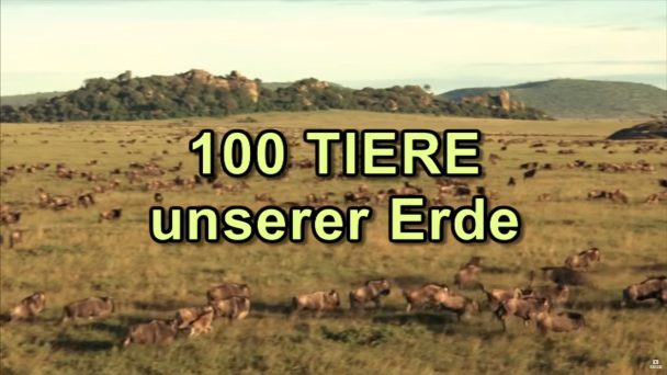 100 Tiere unserer Erde