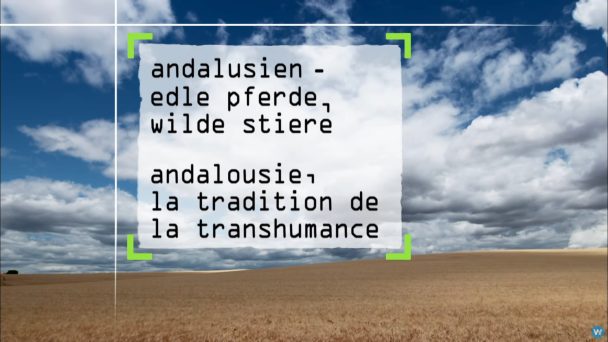 Andalusien - Edle Pferde, wilde Stiere