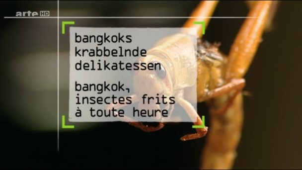 Bangkoks - Krabbelnde Delikatessen