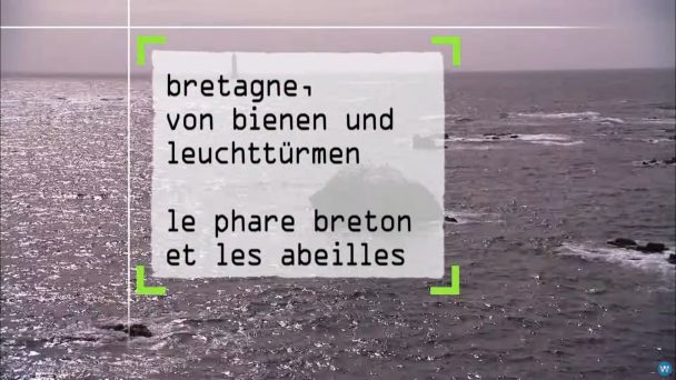 Bretagne, von Bienen und Leuchttürmen