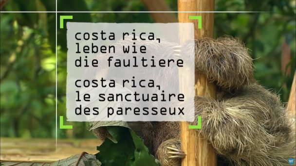 Costa Rica - Leben wie die Faultiere