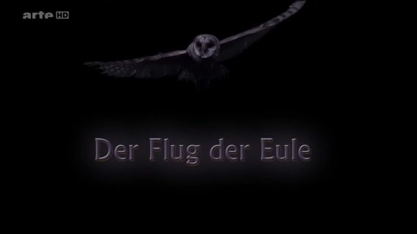 Der Flug der Eule