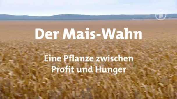 Der Mais-Wahn - Eine Pflanze zwischen Profit und Hunger