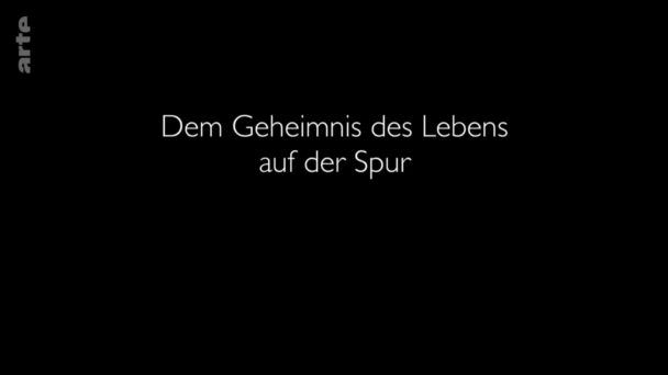 Der Proteom-Code - Dem Geheimnis des Lebens auf der Spur