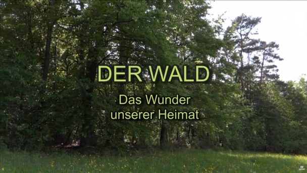 Der Wald - Das Wunder unserer Heimat