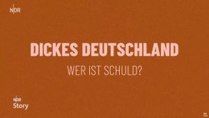 Dickes Deutschland - Wer ist schuld?