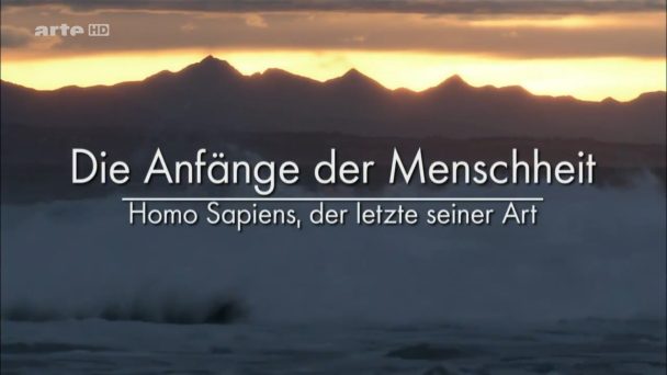 Die Anfänge der Menschheit - Homo sapiens, der Letzte seiner Art