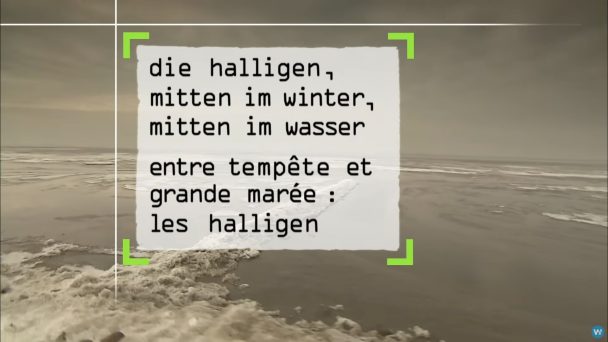 Die Halligen mitten im Winter, mitten im Wasser