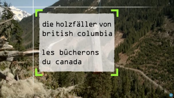 Die Holzfäller von British Columbia