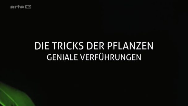 Die Tricks der Pflanzen - Geniale Verführungen