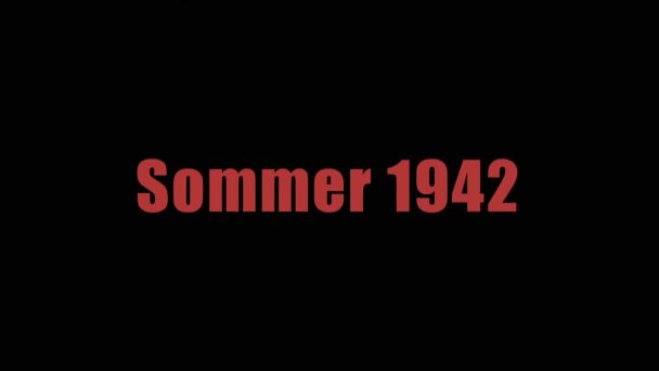 Die Welt in Flammen (4/8) - Sommer 1942
