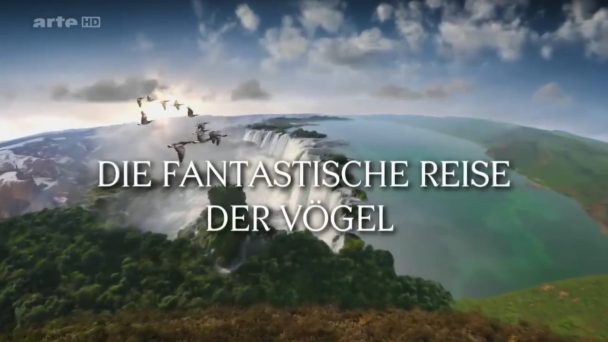 Die fantastische Reise der Vögel