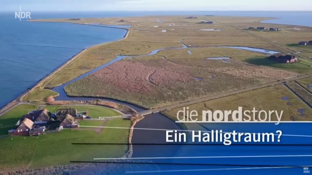 Ein Halligtraum? Neuanfang im Wattenmeer