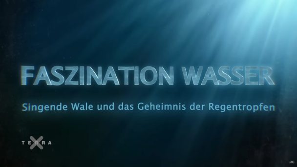 Faszination Wasser - Singende Wale und das Geheimnis der Regentropfen