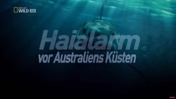 Haialarm vor Australiens Küsten