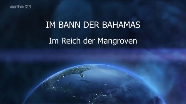 Im Bann der Bahamas - Im Reich der Mangroven