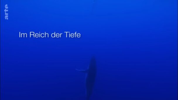 Im Reich der Tiefe