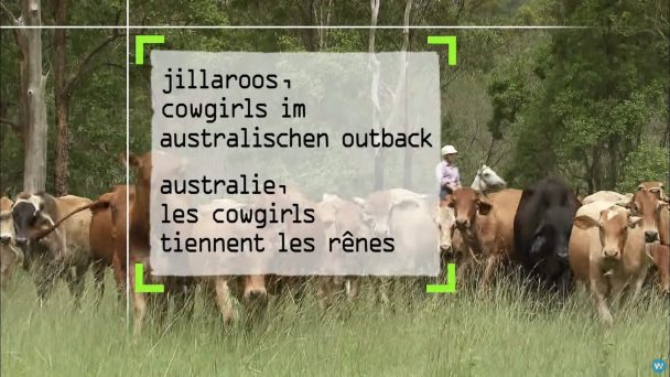 Jillaroos - Cowgirls im australischen Outback