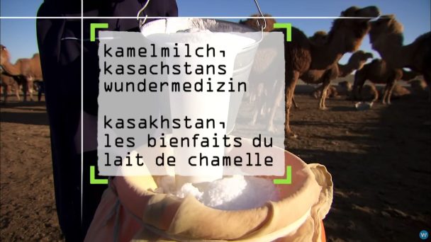 Kamelmilch, Kasachstans Wundermedizin