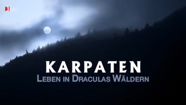 Karpaten - Leben in Draculas Wäldern