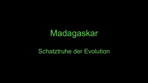 Madagaskar - Schatztruhe der Evolution