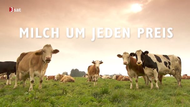 Milch um jeden Preis