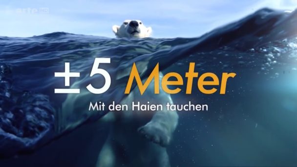 Plus Minus 5 Meter - Mit Haien tauchen