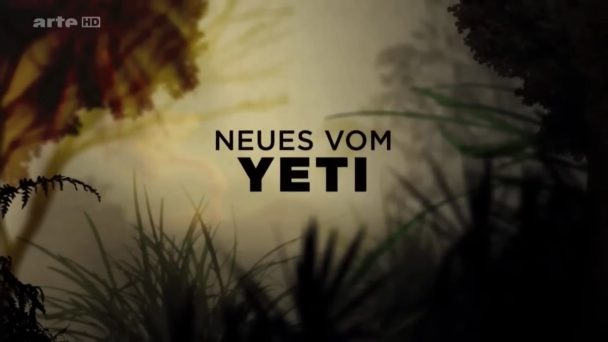 Neues vom Yeti