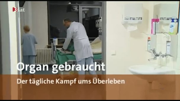 Organ gebraucht - Der tägliche Kampf ums Überleben