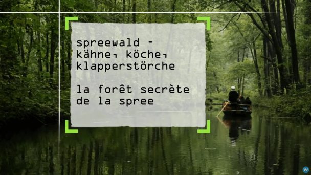 Spreewald - Kähne, Köche, Klapperstörche