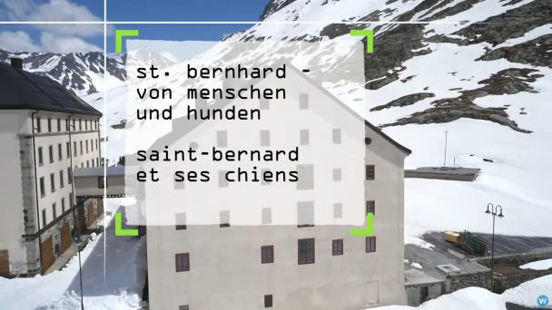 St. Bernhard - Von Menschen und Hunden