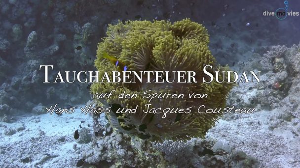 Tauchabenteuer Sudan - Auf den Spuren von Hans Hass und Jacques Cousteau