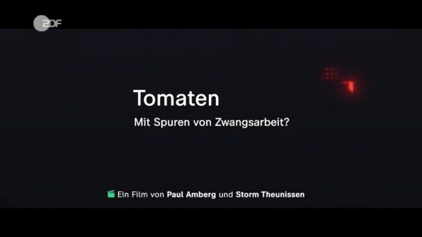 Tomaten - Mit Spuren von Zwangsarbeit?