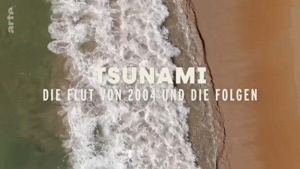 Tsunami - Die Flut von 2004 und die Folgen