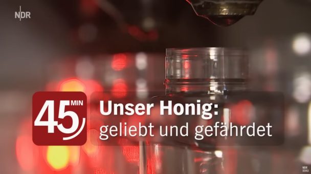 Unser Honig: geliebt und gefährdet