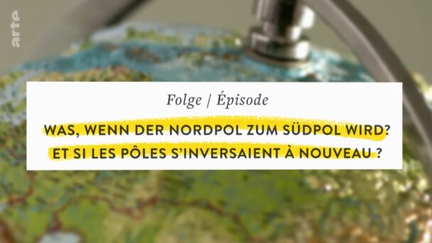 Was, wenn der Nordpol zum Südpol wird?