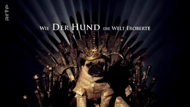 Wie der Hund die Welt eroberte