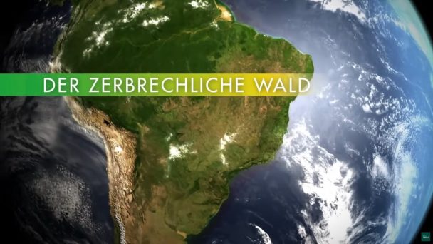 Wildes Brasilien - Der zerbrechlich Wald